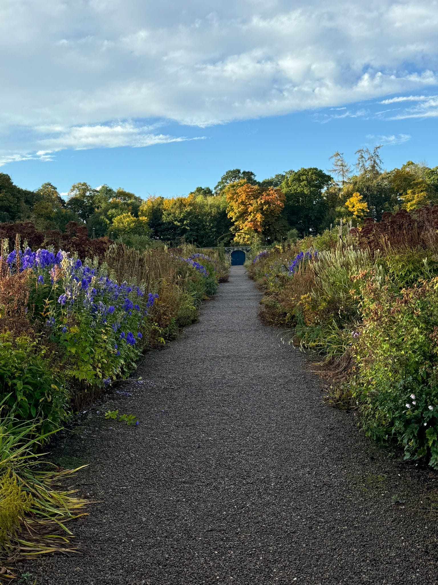 October’s Garden Update